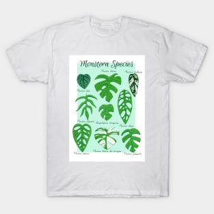 Monstera Species in Gouache- Mint T-Shirt